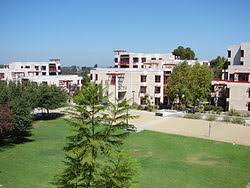 Lead Resident Assistant (LRA)